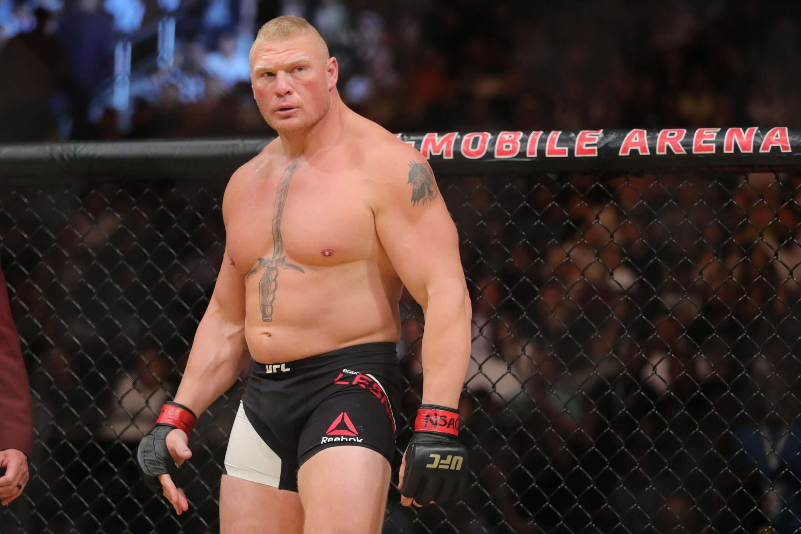 Brock Lesnar and the 20 MMA Fighters Who Could Compete in WWE, News,  Scores, Highlights, Stats, and Rumors