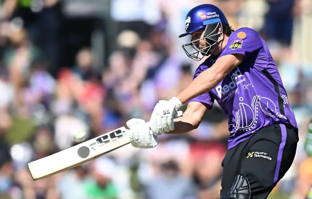 Tim David Bat: Specs, Price, and Full Details Tim David bat