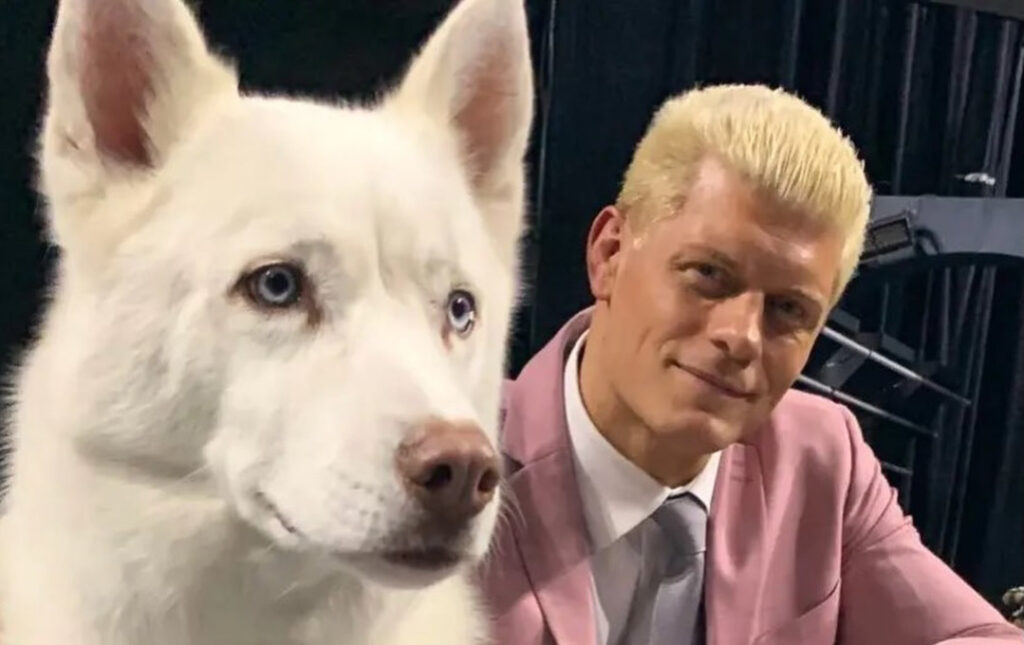 Cody Rhodes with his dog Pharoah